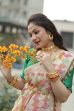 Ethereal Lightweight Semi Muslin Saree - Image 12
